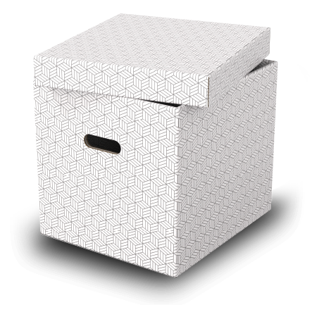 Esselte Home set úložných boxů